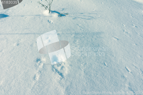 Image of Snow Background Texture