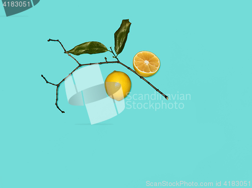 Image of The fresh lemons on blue background