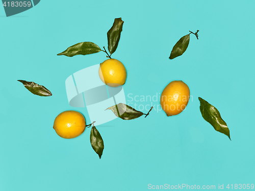 Image of The fresh lemons on blue background