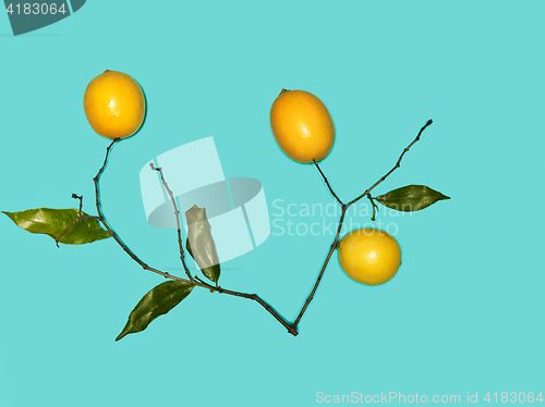 Image of The fresh lemons on blue background