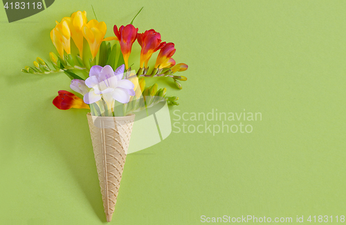 Image of Freesias flowers in  waffles