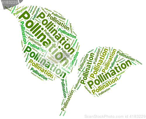 Image of Pollination Word Indicates Procreation Pollinate And Pollen