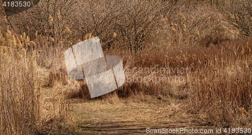 Image of Dry rural