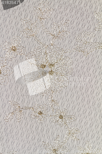 Image of Special lace