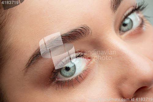 Image of Beautiful Girl face. Perfect skin