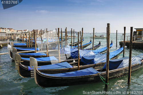 Image of Gondolas moored in front of Saint Mark square in Venice