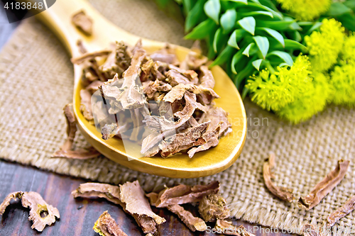 Image of Root dry of Rhodiola rosea in spoon on napkin