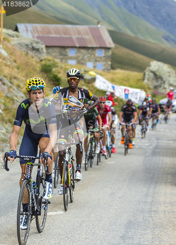 Image of The Peloton in Mountains - Tour de France 2015