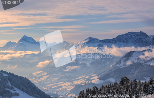 Image of Winter Landscape