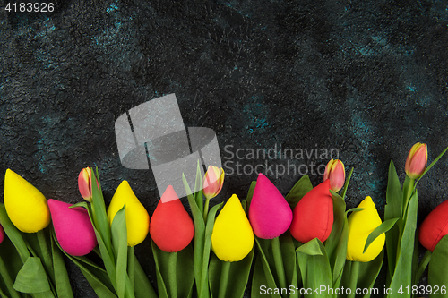 Image of Handmade and real tulips on darken