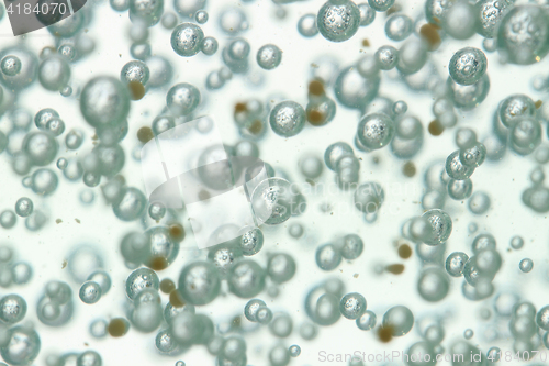 Image of water oxygen bubbles texture