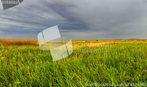 Image of Summer Field Before A Thunderstorm