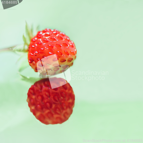 Image of Two Strawberry On A Light Green Background