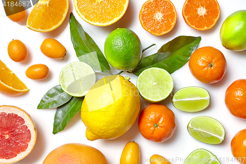 Image of various citrus fruits