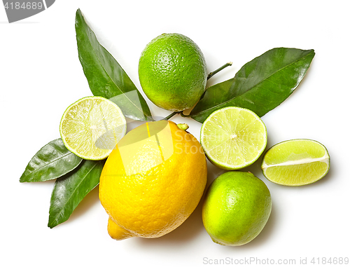 Image of various citrus fruits on white background