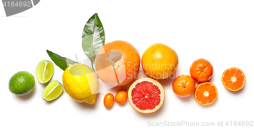 Image of various citrus fruits