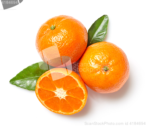 Image of fresh clementines on white background