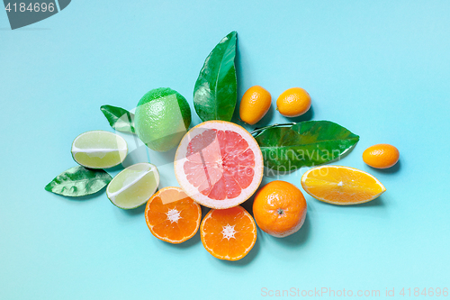 Image of various citrus fruits 