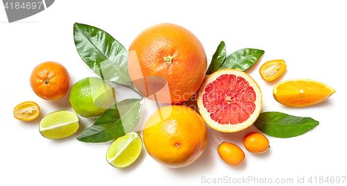 Image of various citrus fruits on white background