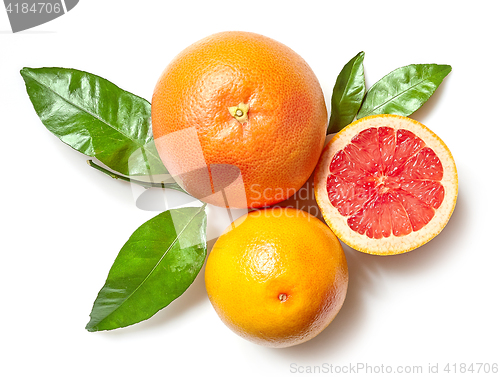 Image of grapefruits on white background