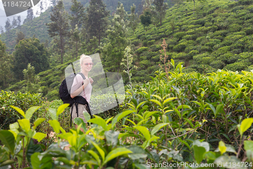 Image of Female tourist enjoying beautiful nature of tea plantations, Sri Lanka.