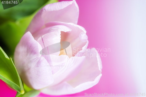 Image of 