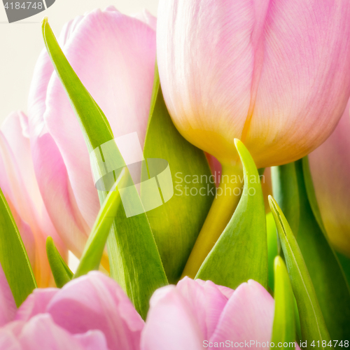Image of 
