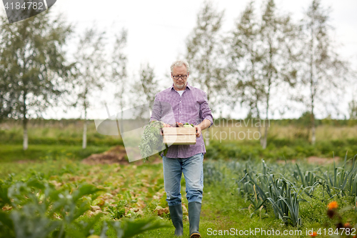 Image of old man with box of vegetables at farm garden