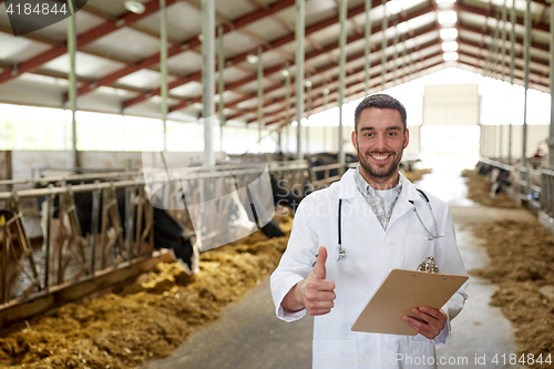 Image of veterinarian with cows showing thumbs up on farm