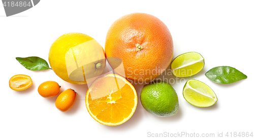 Image of various citrus fruits on white background