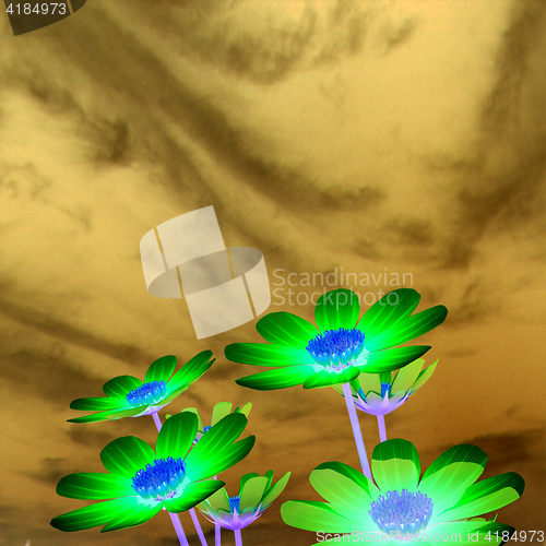 Image of Beautiful Cosmos Flower against the sky. 3D illustration.