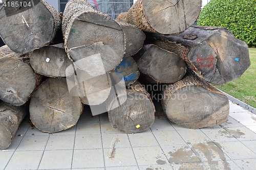 Image of Timber Logs