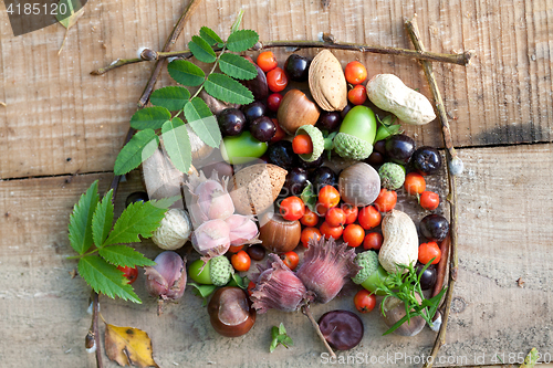 Image of fall still life