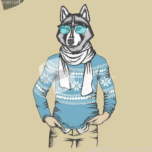 Image of Husky in human sweatshirt