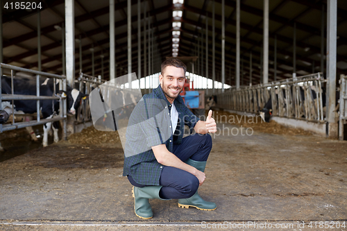 Image of man or farmer with cows in cowshed on dairy farm