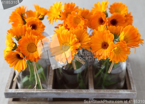 Image of Marigolds.