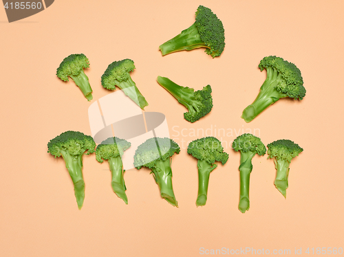 Image of The fresh broccoli on pink background