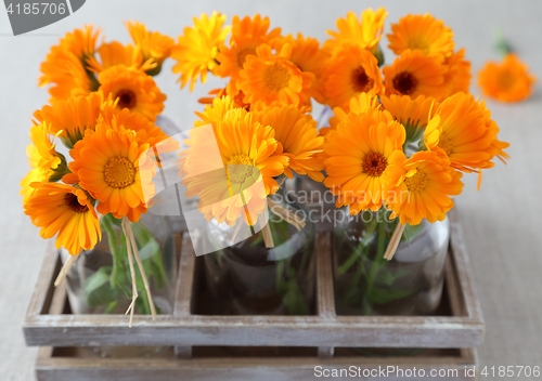 Image of Marigolds.