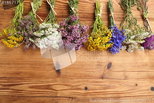 Image of Herbs. Natural medicine.