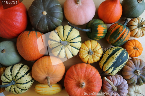 Image of Squash and pumpkins.