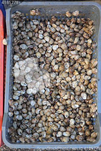 Image of Escargot