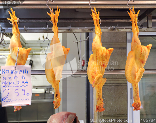 Image of Hanging Poultry