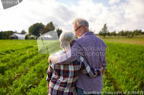 Image of happy senior couple at summer farm