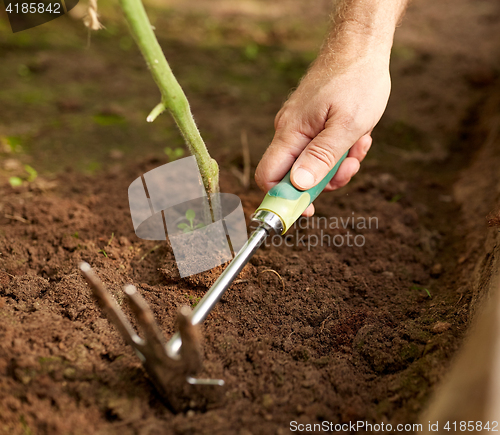 Image of senior man with hoe weeding garden bed