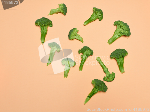 Image of The fresh broccoli on pink background