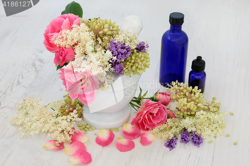 Image of Medicinal Flowers and Herbs