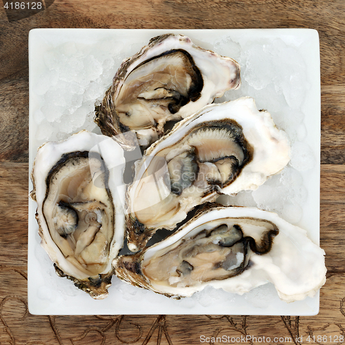 Image of Oysters on Ice