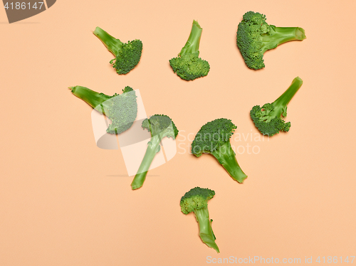 Image of The fresh broccoli on pink background