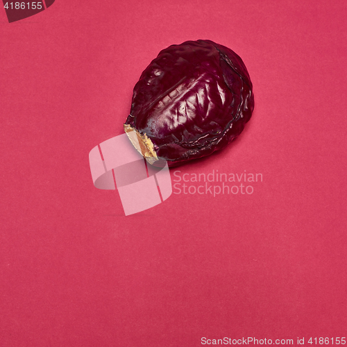 Image of Red cabbage on a red background