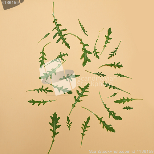 Image of Arugula leaves on beige
